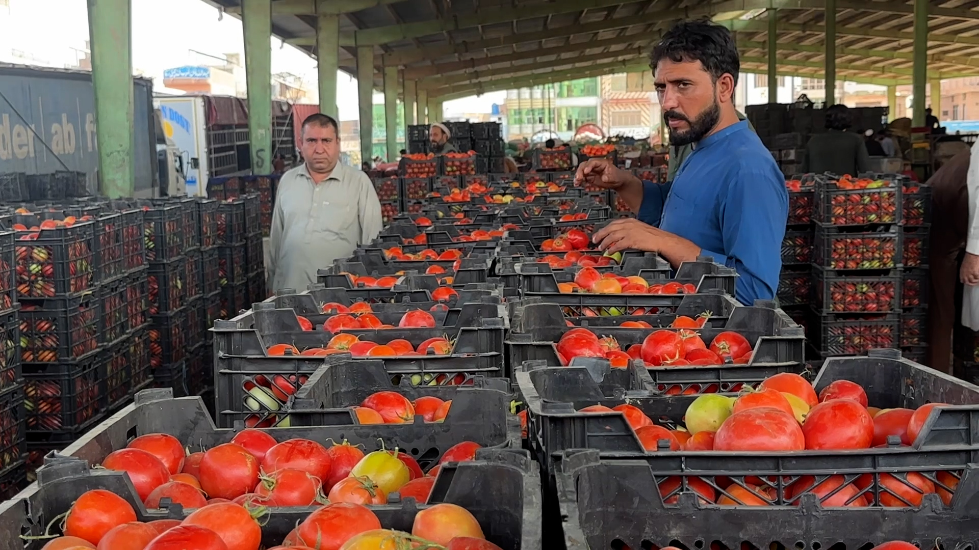 Tomato Price Hike
