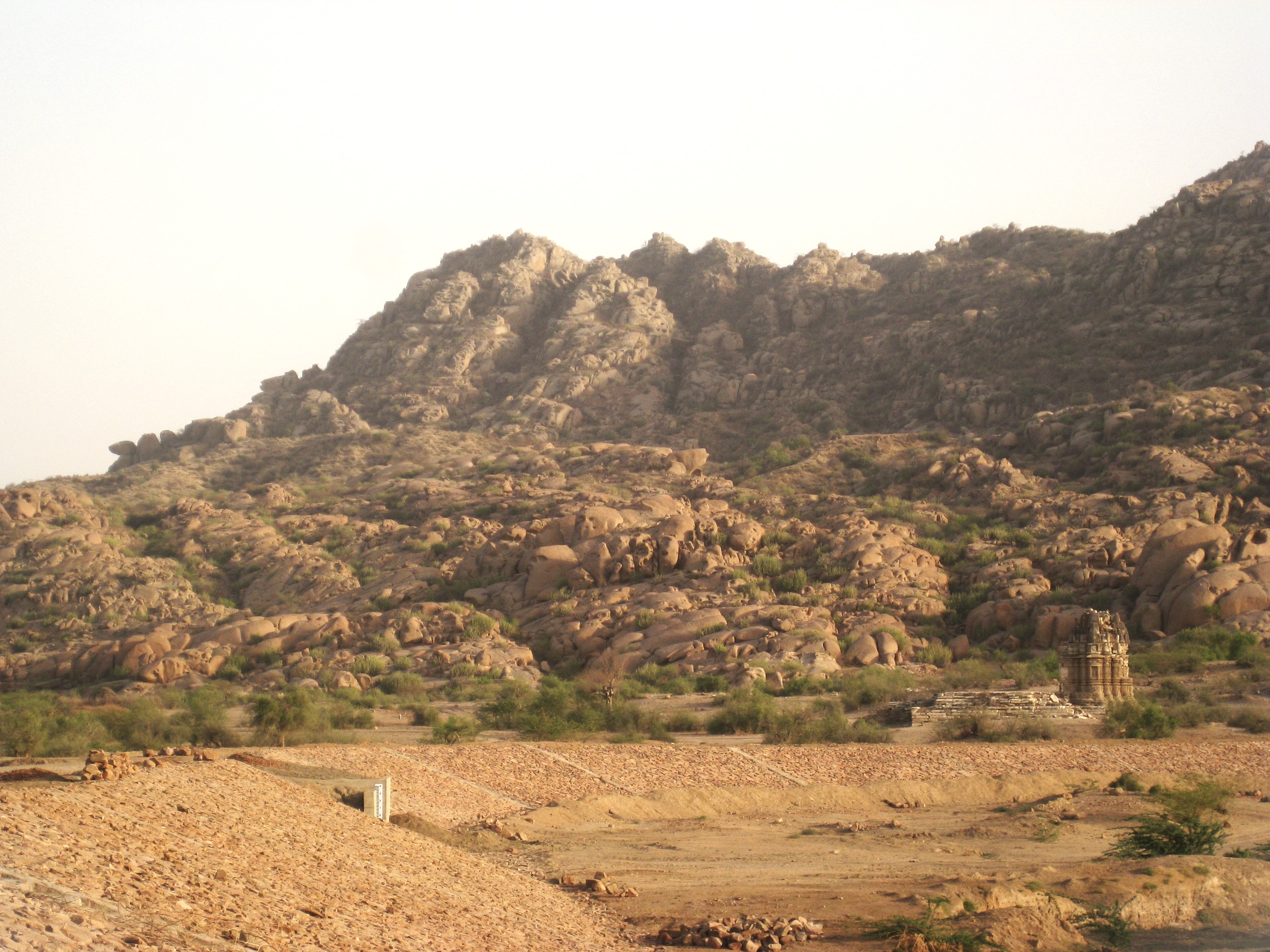 thar 2