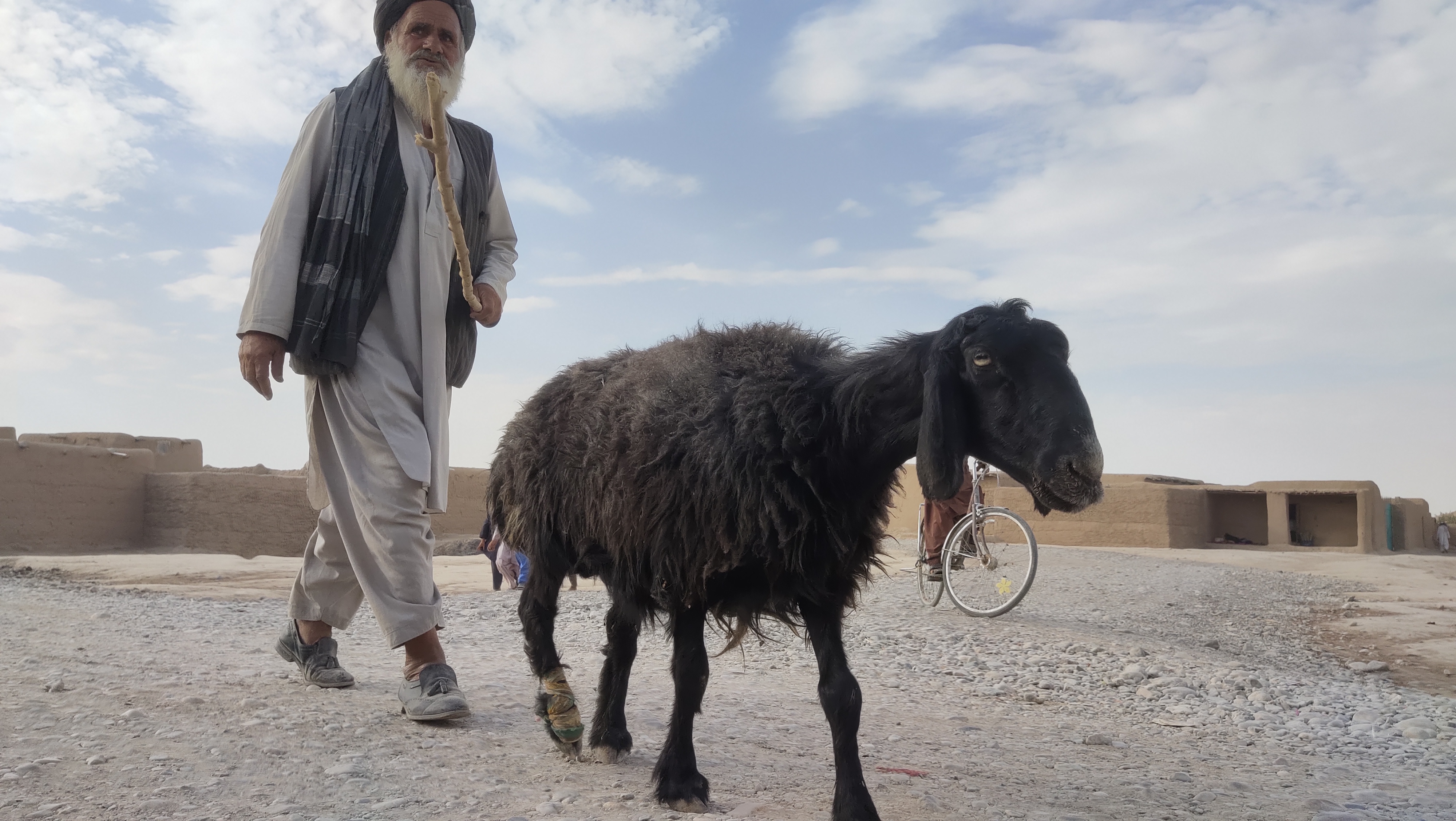 Saranan_Afghan_Refugee_Camp_(3).jpg