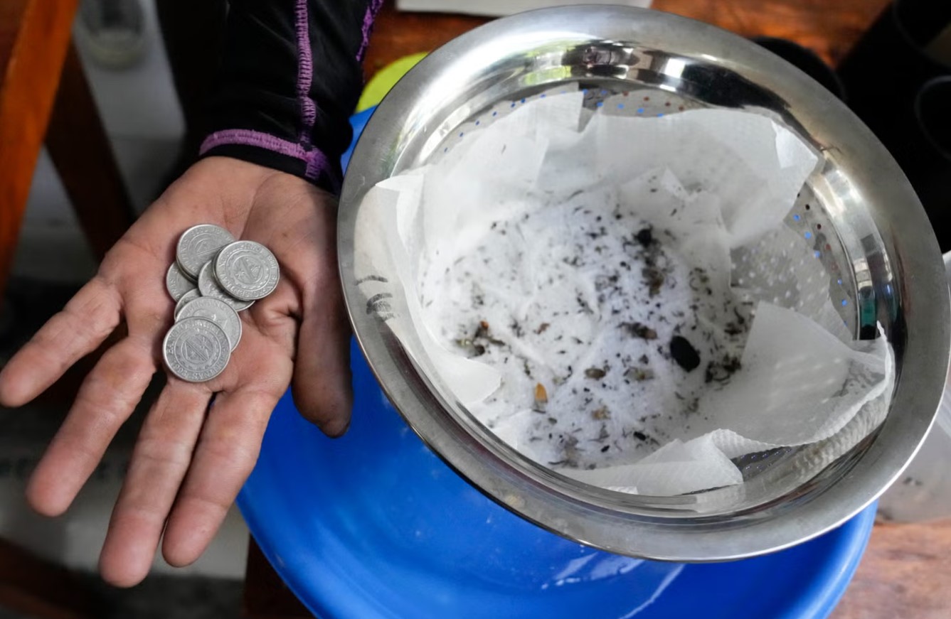 Phillipines bounties for mosquitos 