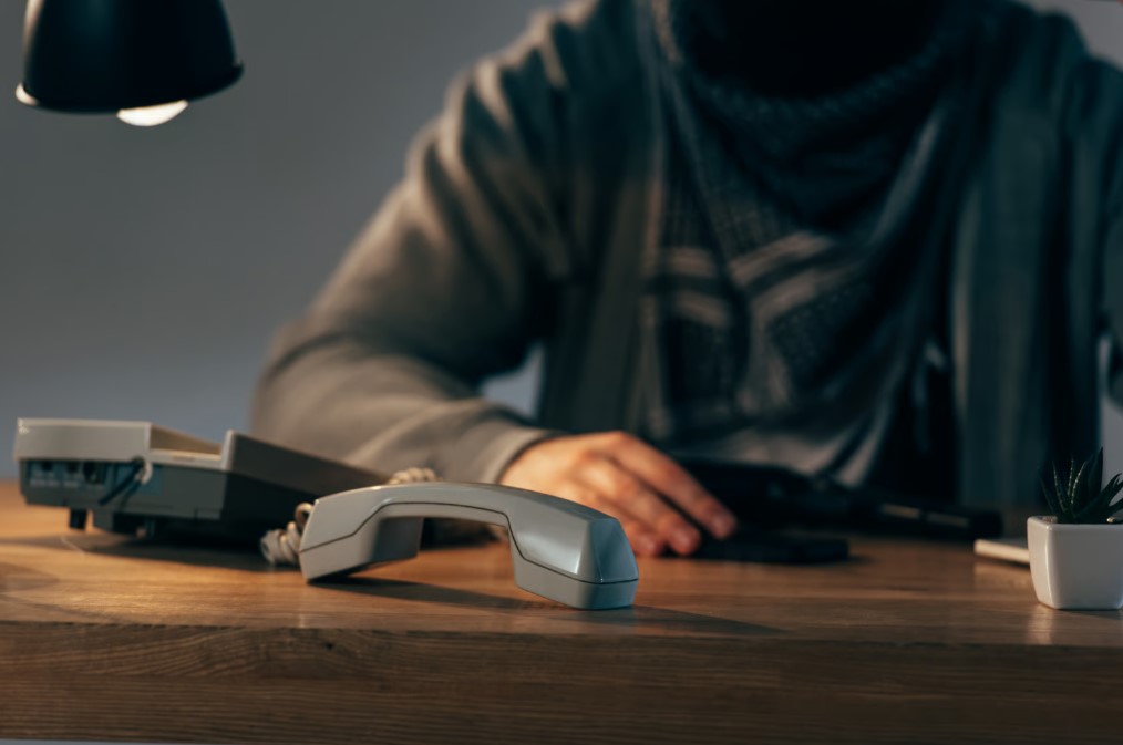 Cyber Fraud