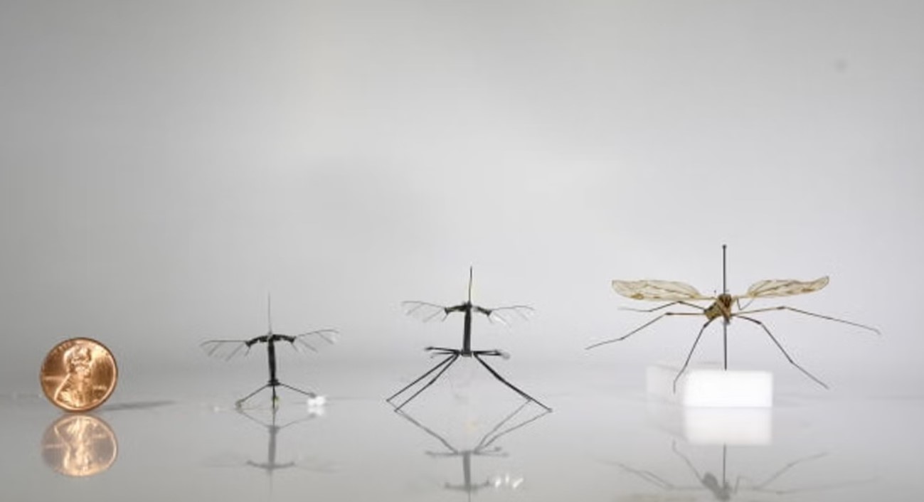 Spy drone.jpg