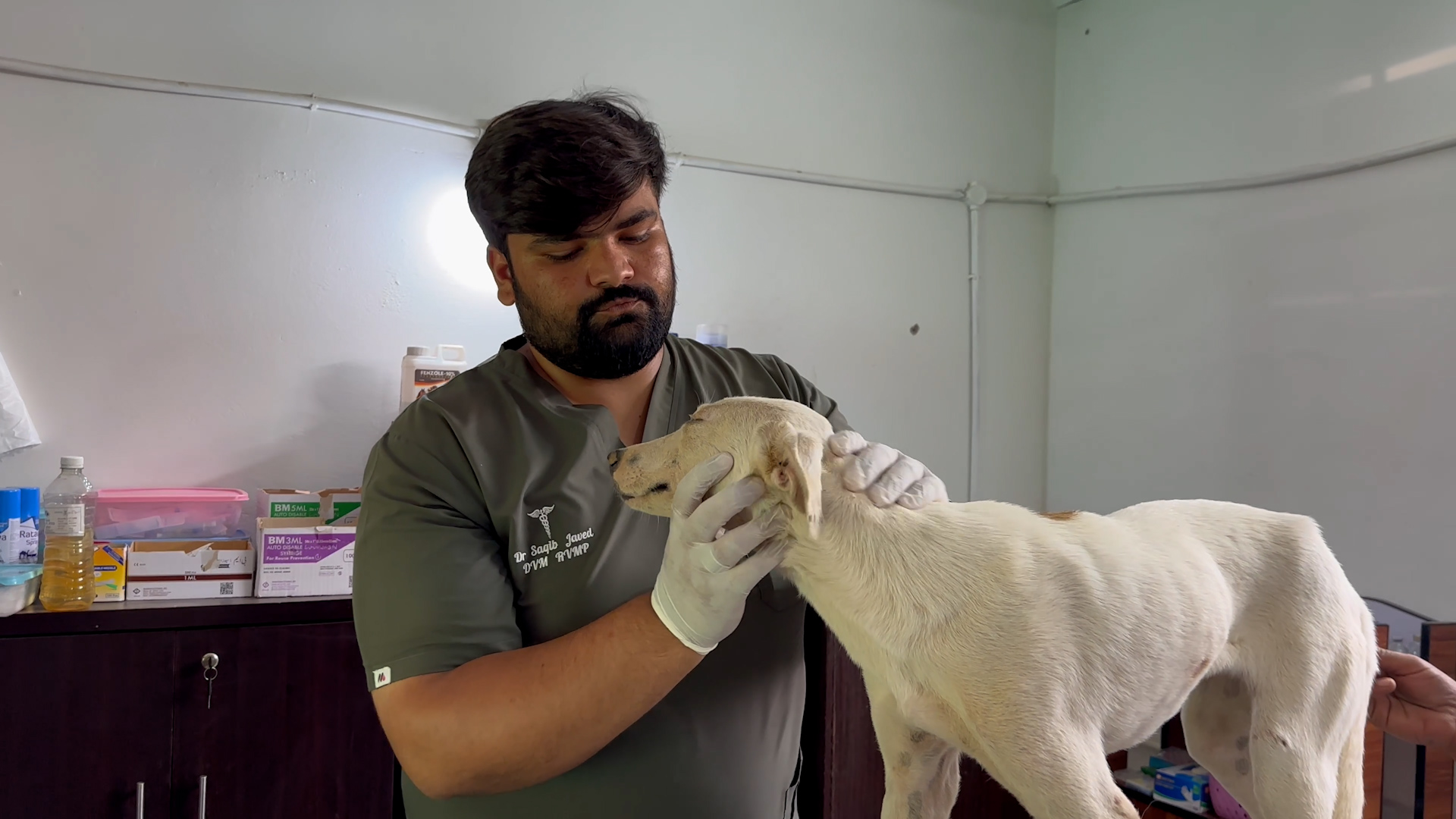 VETERINARY.jpg