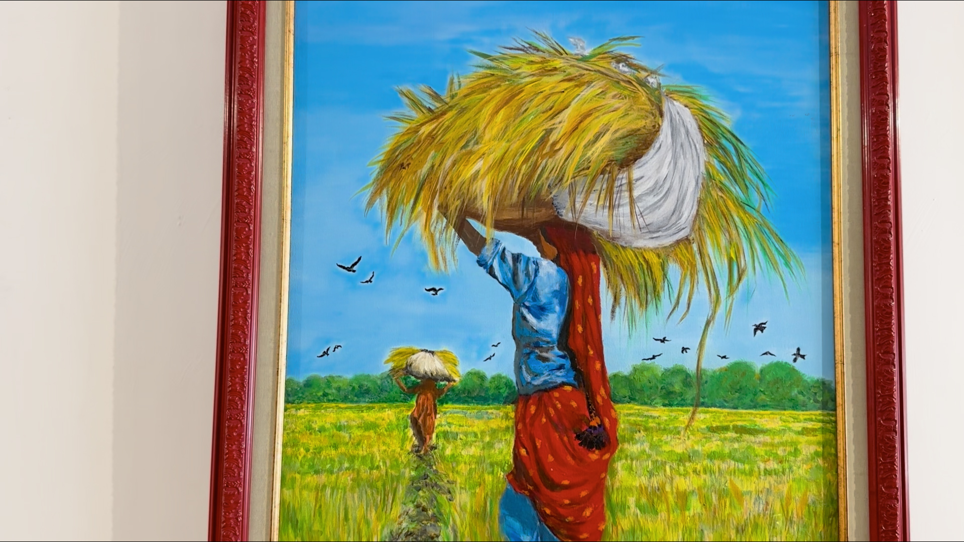 colors of sindh