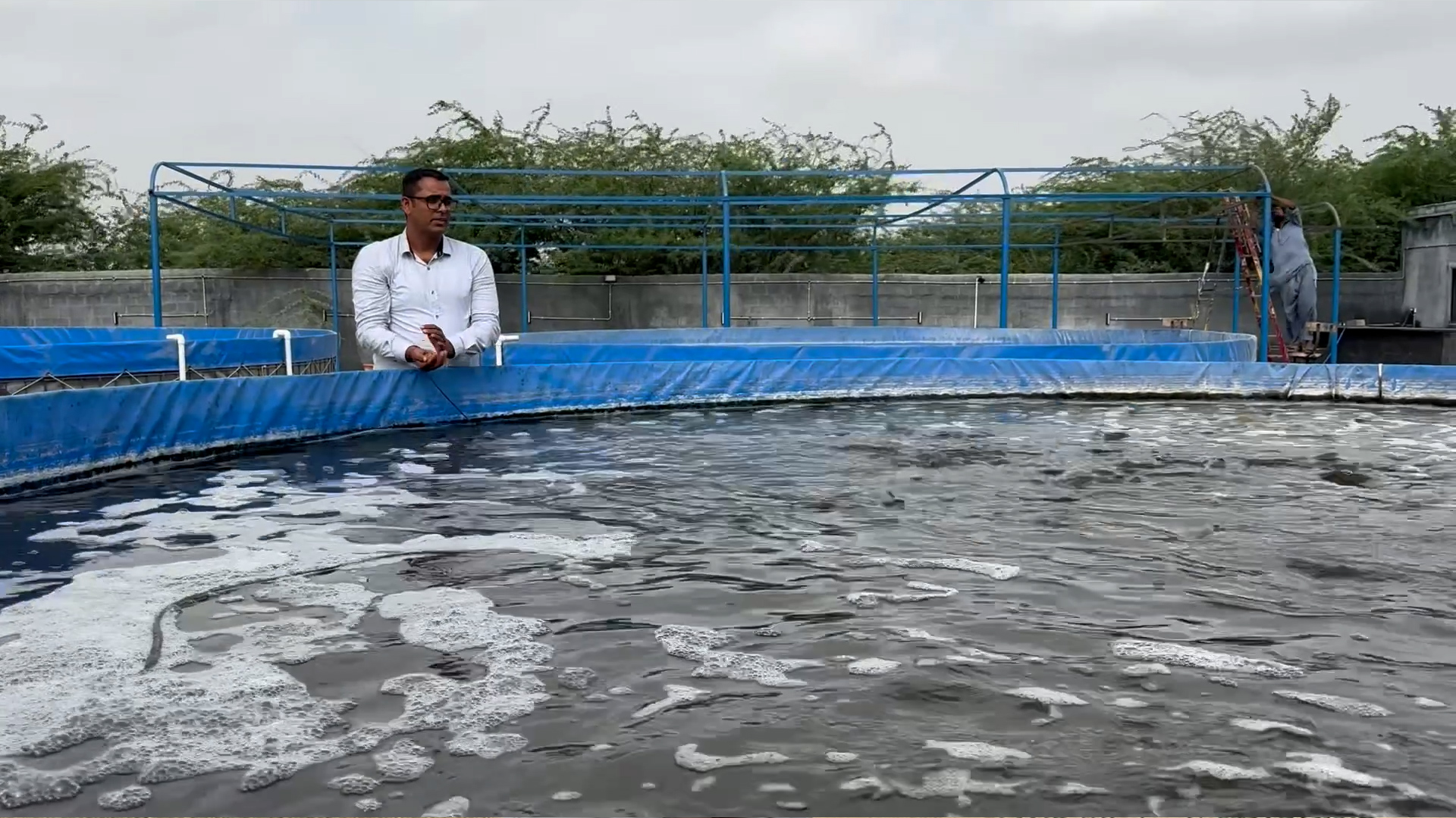 biofloc fish2.jpg