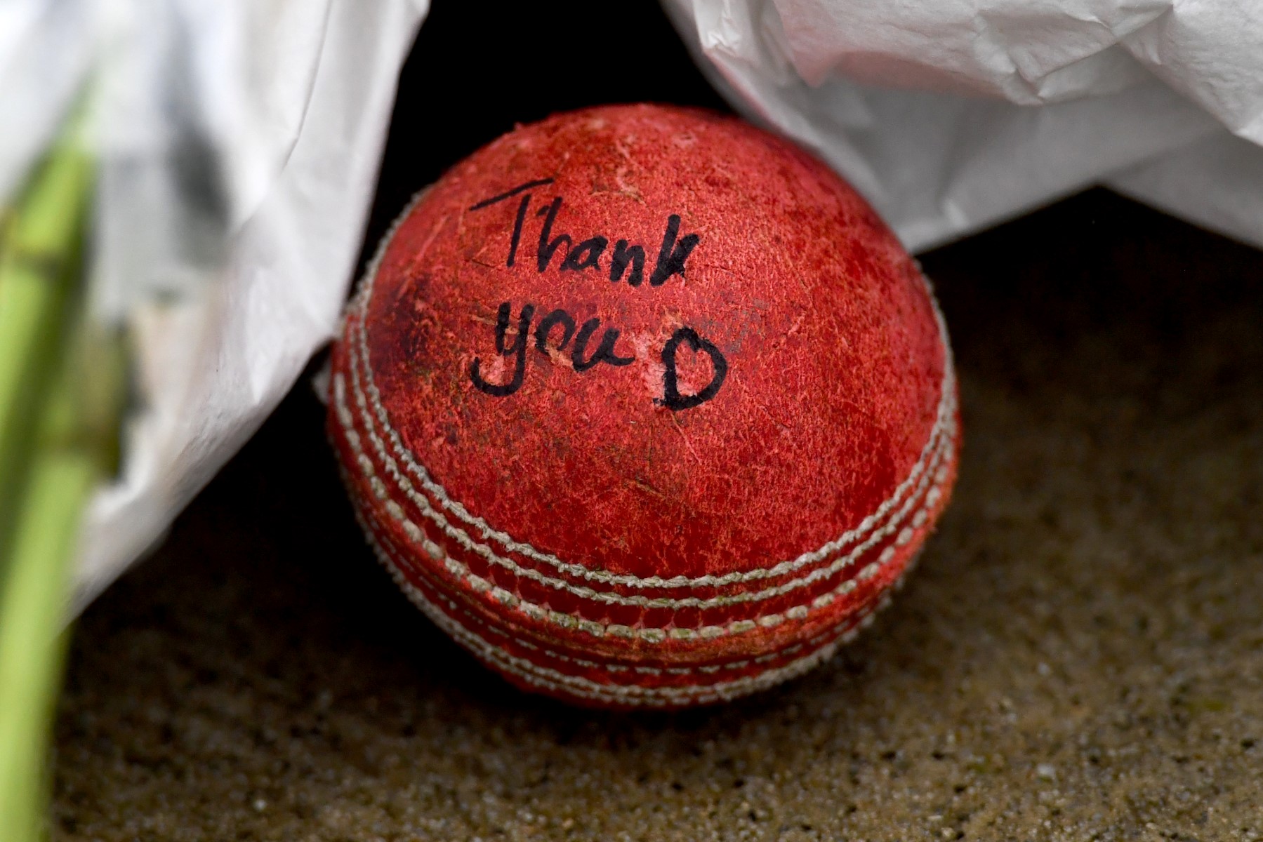 cricket ball.jpg