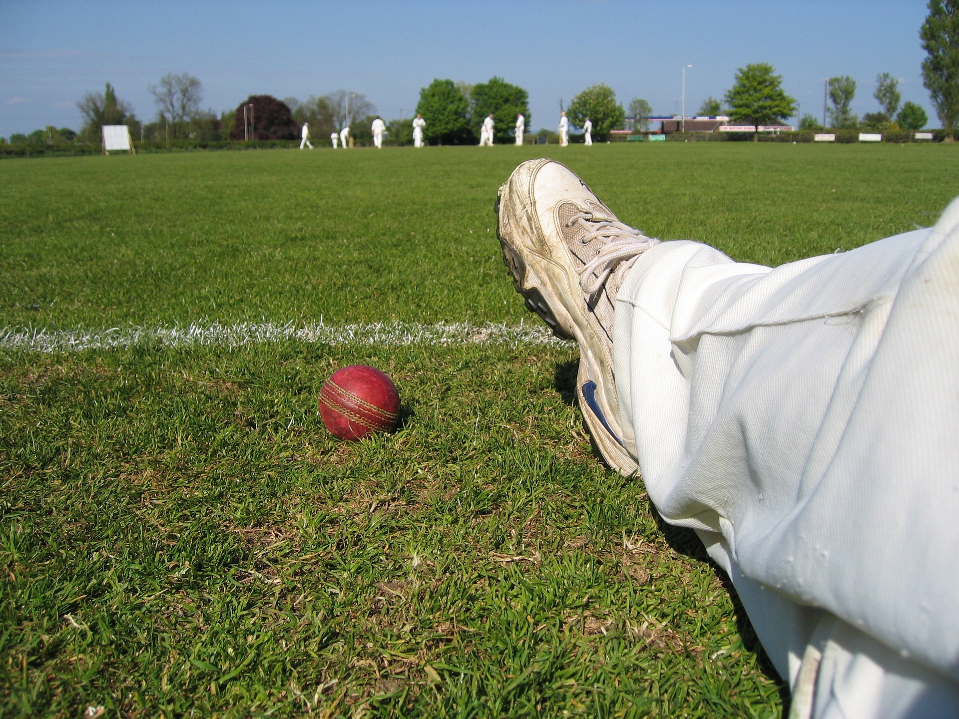 cricket-753938_1920.jpg