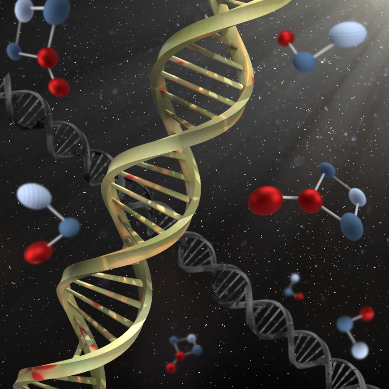 dna-4828422_1280.jpg