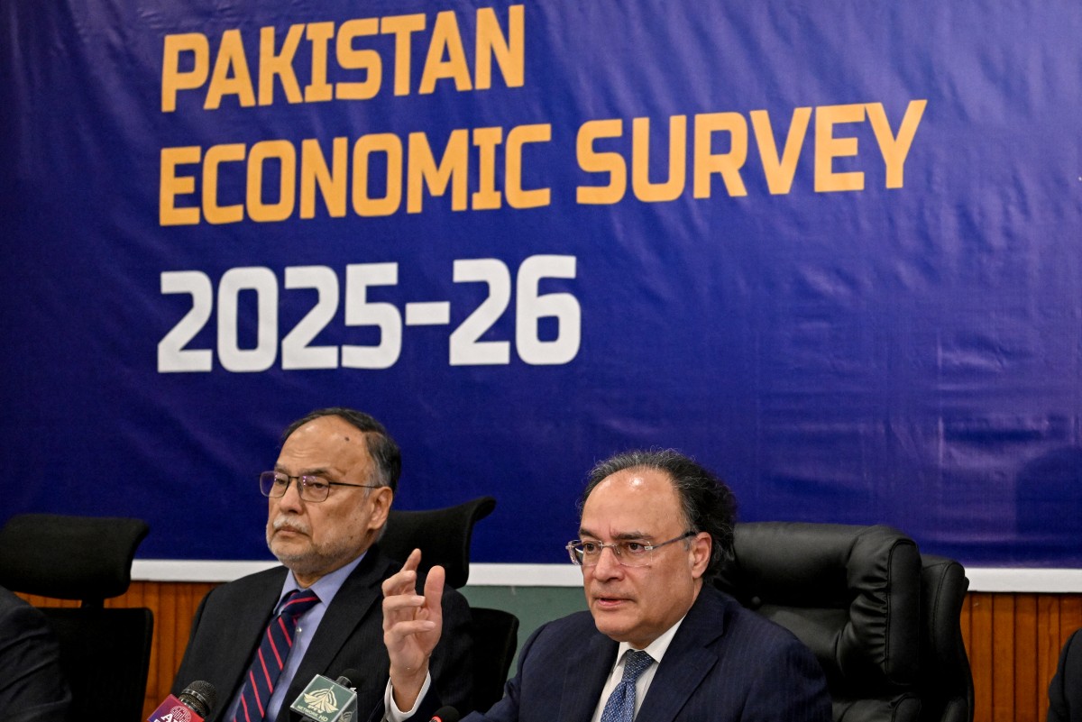 economic survey.jpg