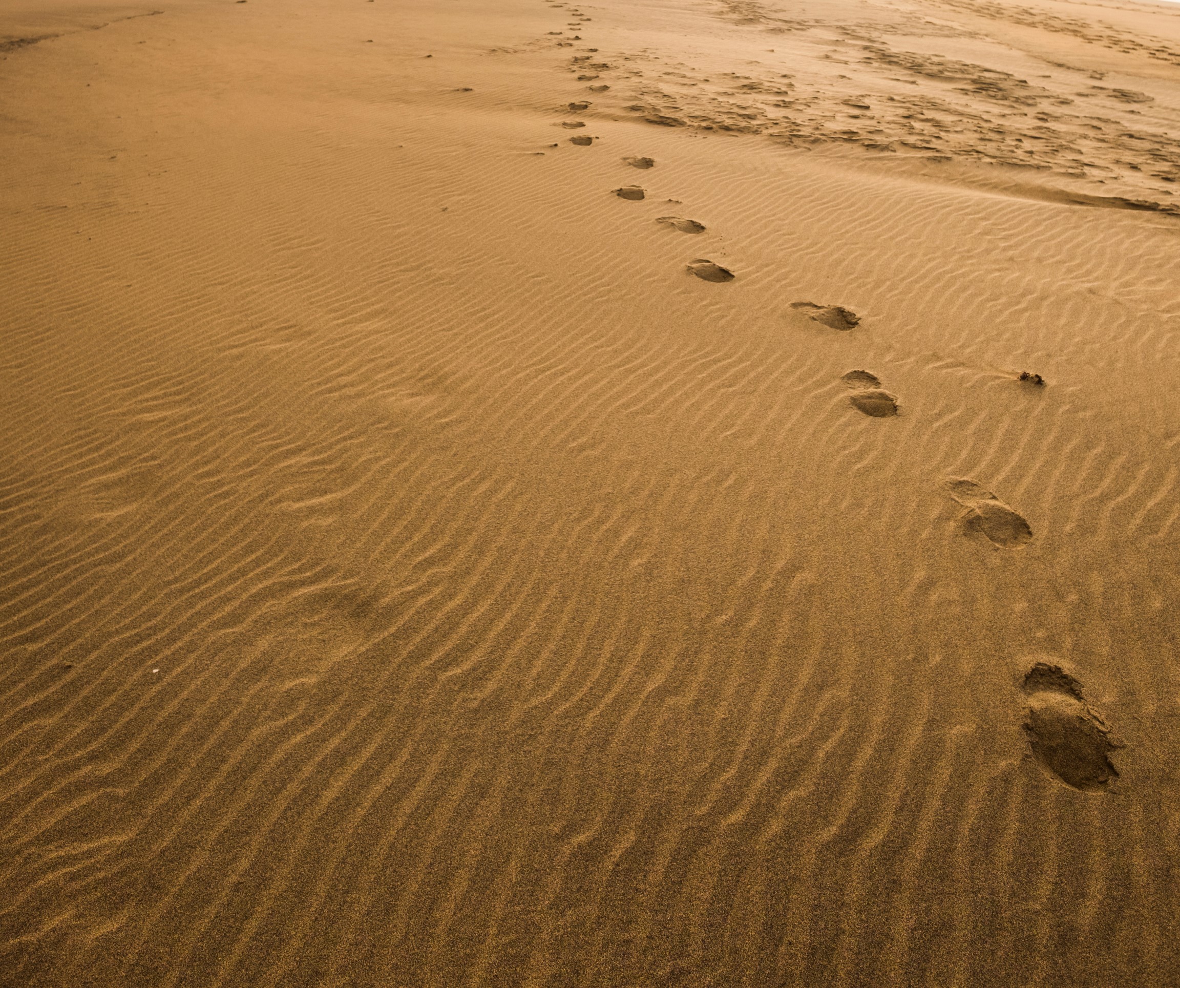 footprint-at-the-beach-for-explore-in-wild-scenic-2021-09-02-02-49-09-utc.jpg