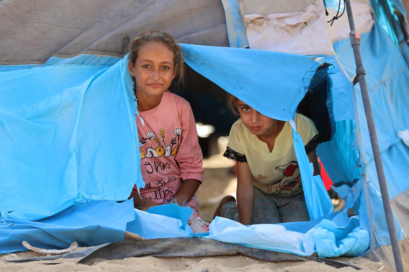 gaza peace.jpg