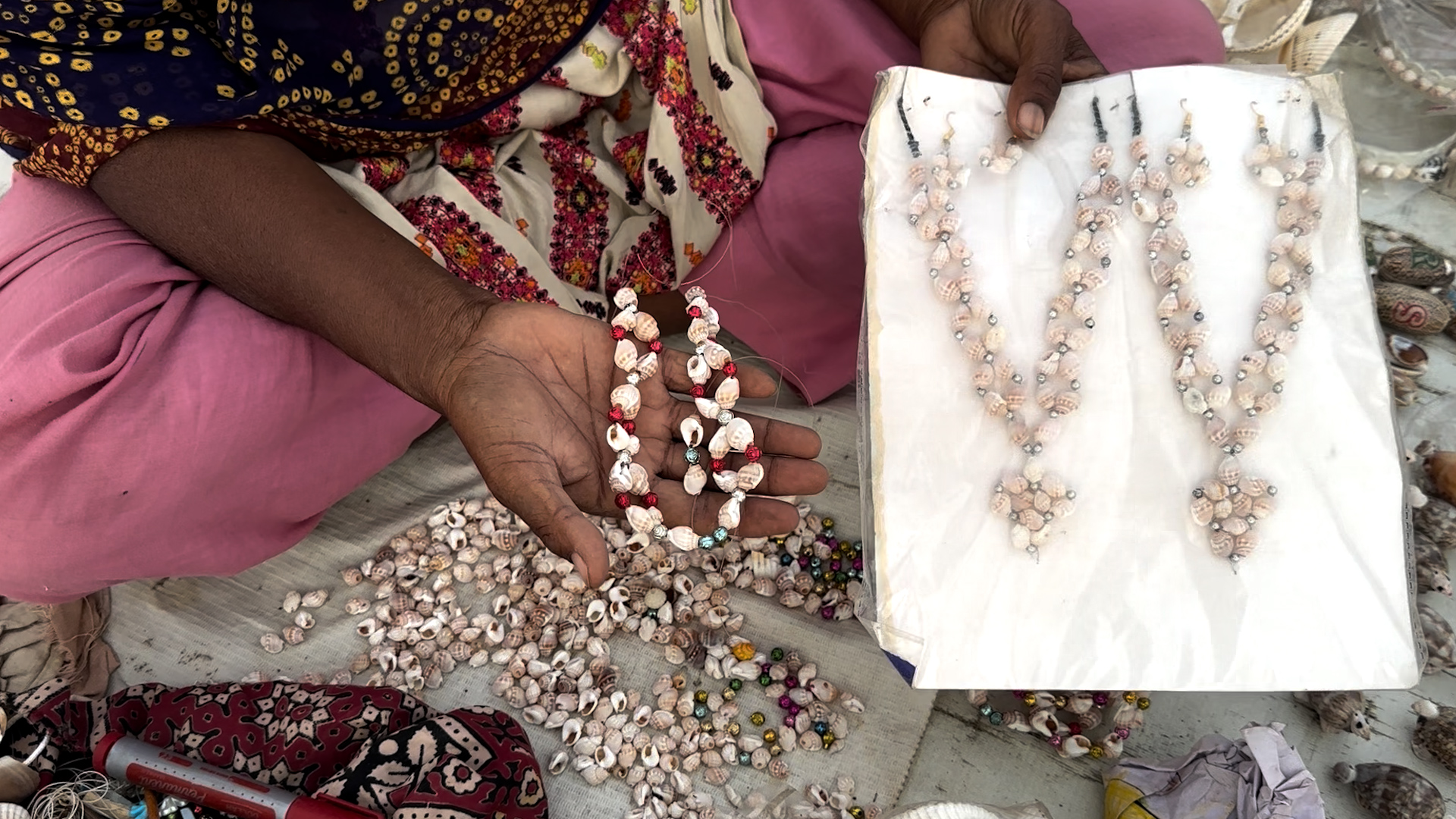 Karachi Sea Shells