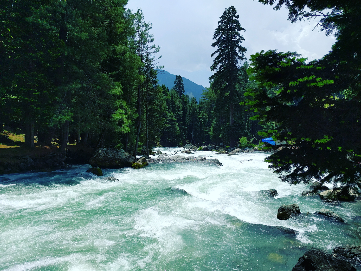 lidder-river.png