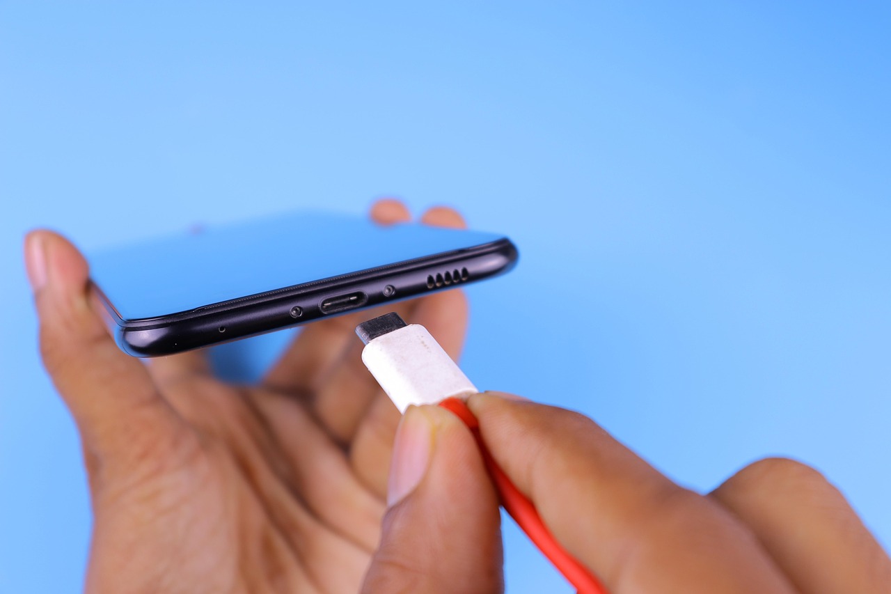 Mobile Charger