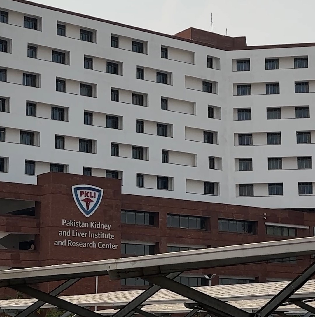 pkli2.jpg