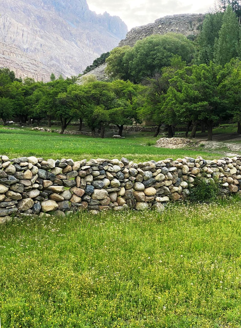 shimshal.jpg