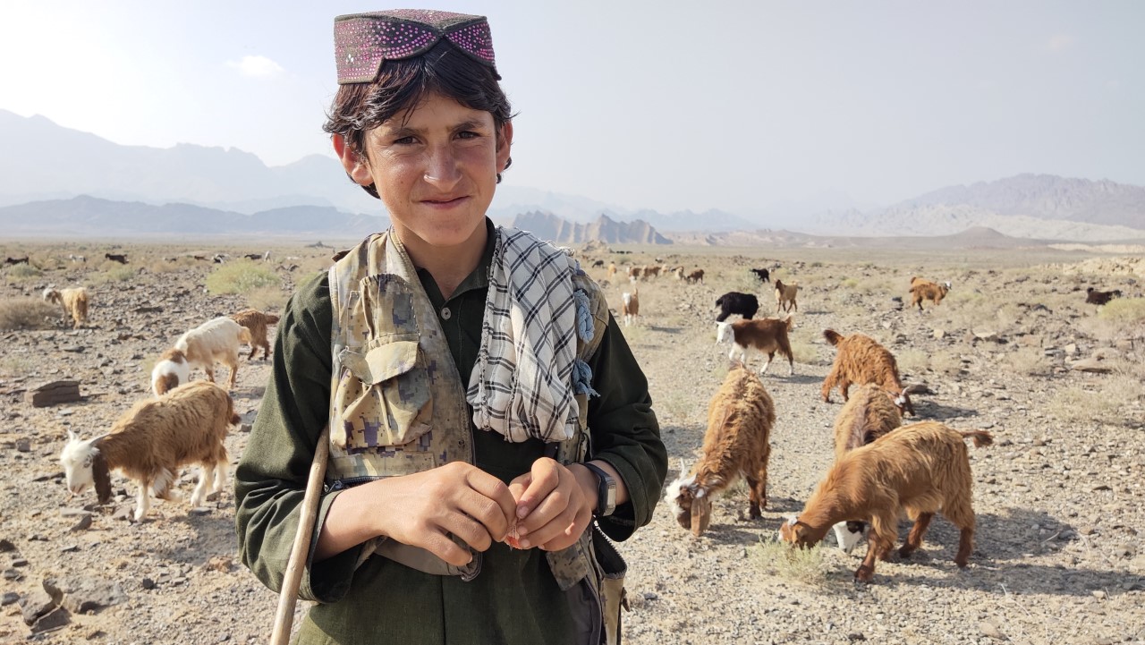thumbnail_Kochi___Afghan_Nomads_Story_(1).jpg