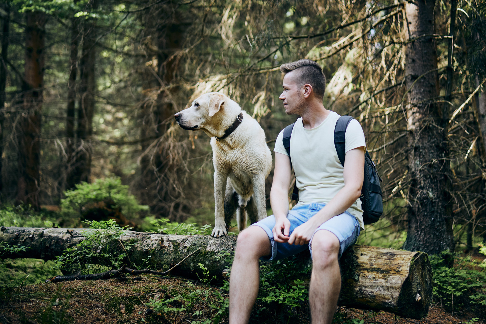 tourist-with-dog-in-forest-2022-02-08-22-39-31-utc.jpg