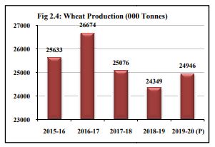wheat.jpeg